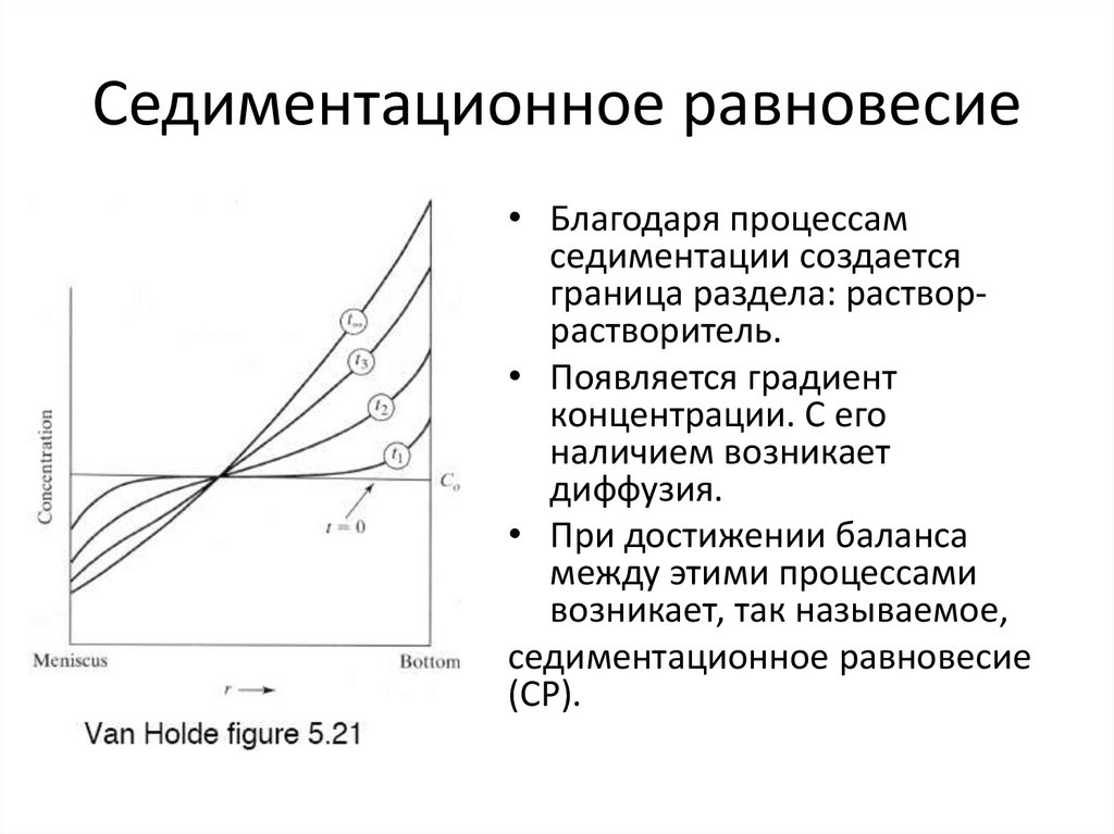 Седиментационное равновесие