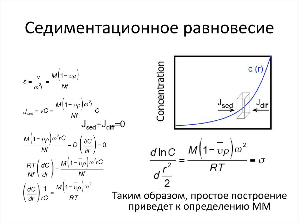 Cедиментационное равновесие