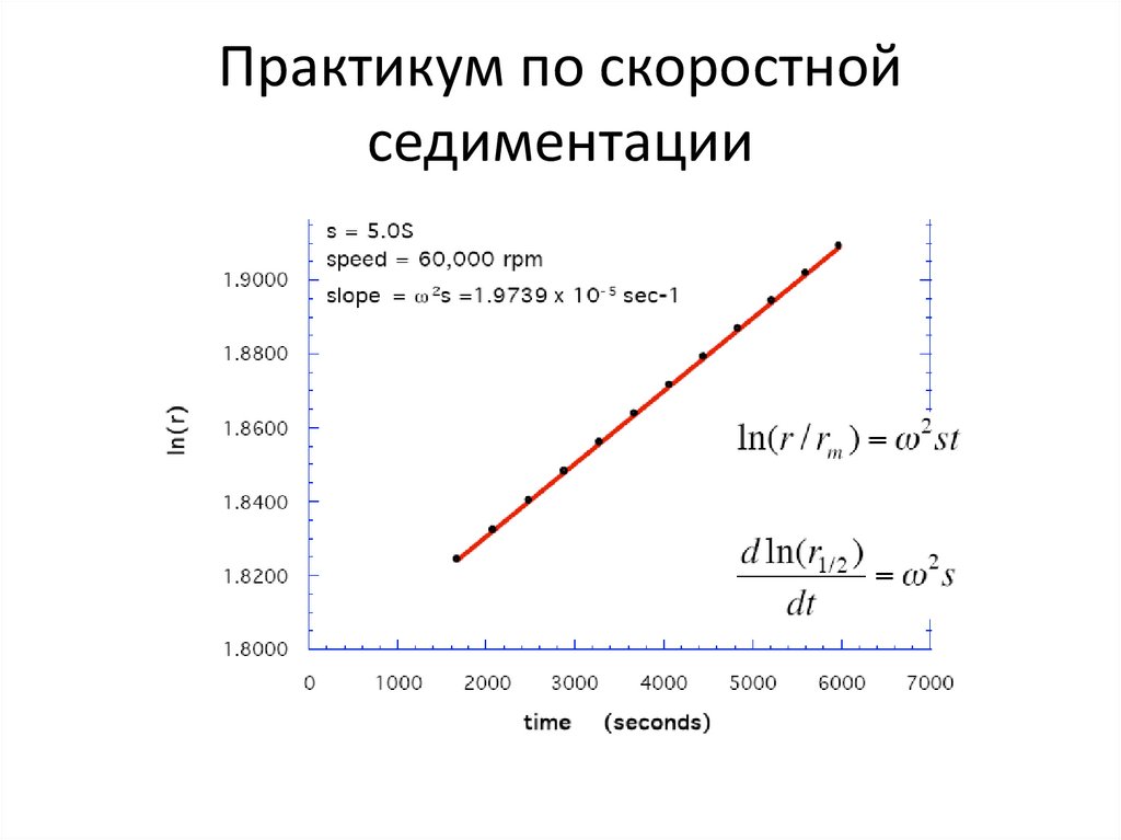 Практикум по скоростной седиментации
