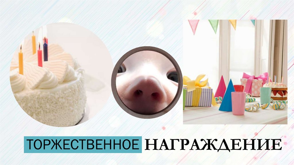 ТОРЖЕСТВЕННОЕ