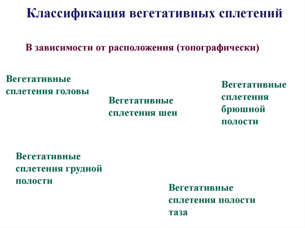 Классификация вегетативных сплетений