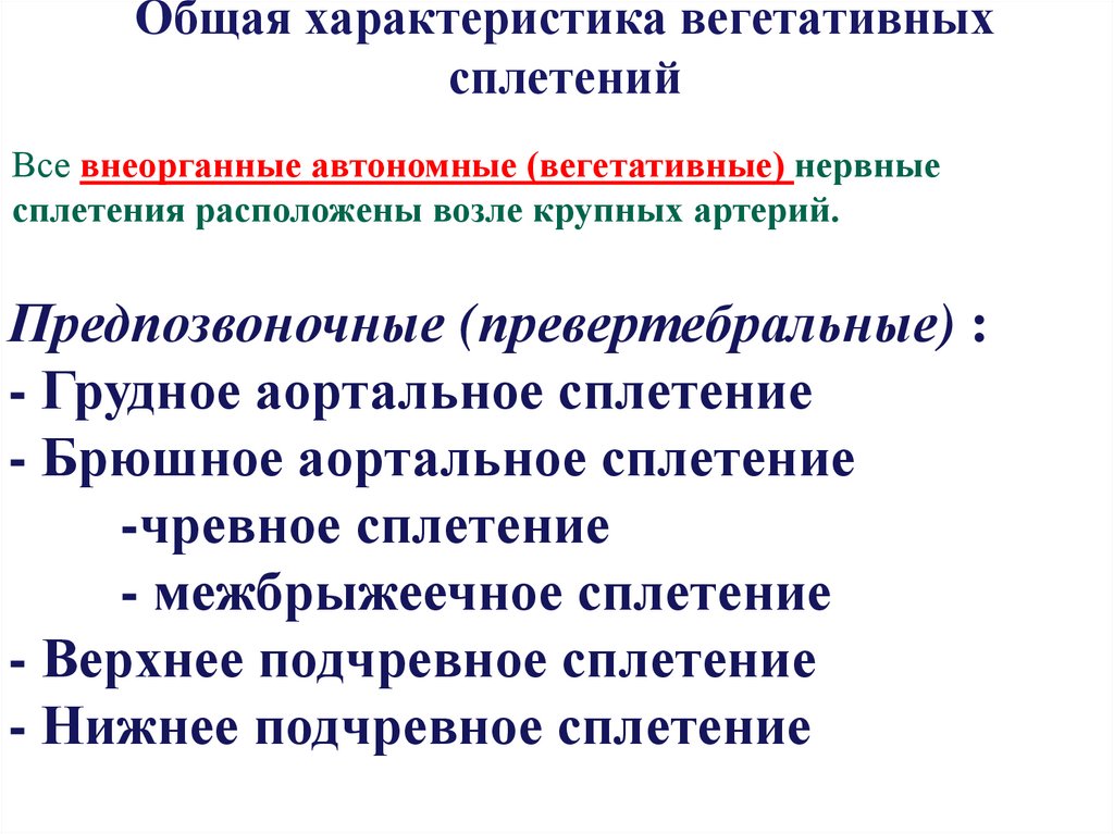 Общая характеристика вегетативных сплетений