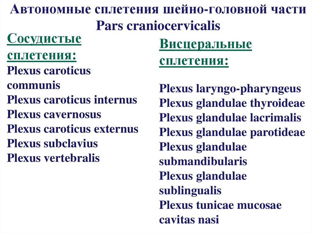 Автономные сплетения шейно-головной части Pars craniocervicalis