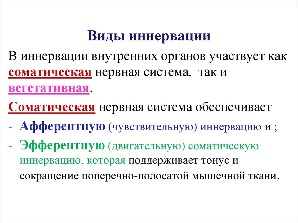Виды иннервации