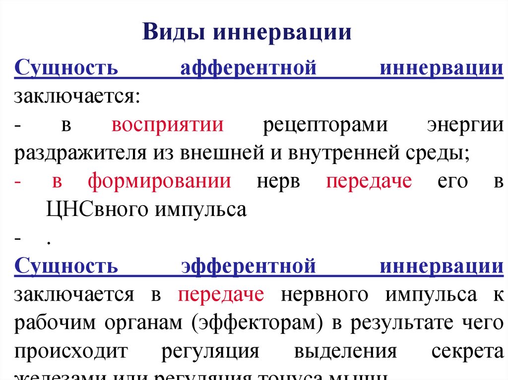 Виды иннервации