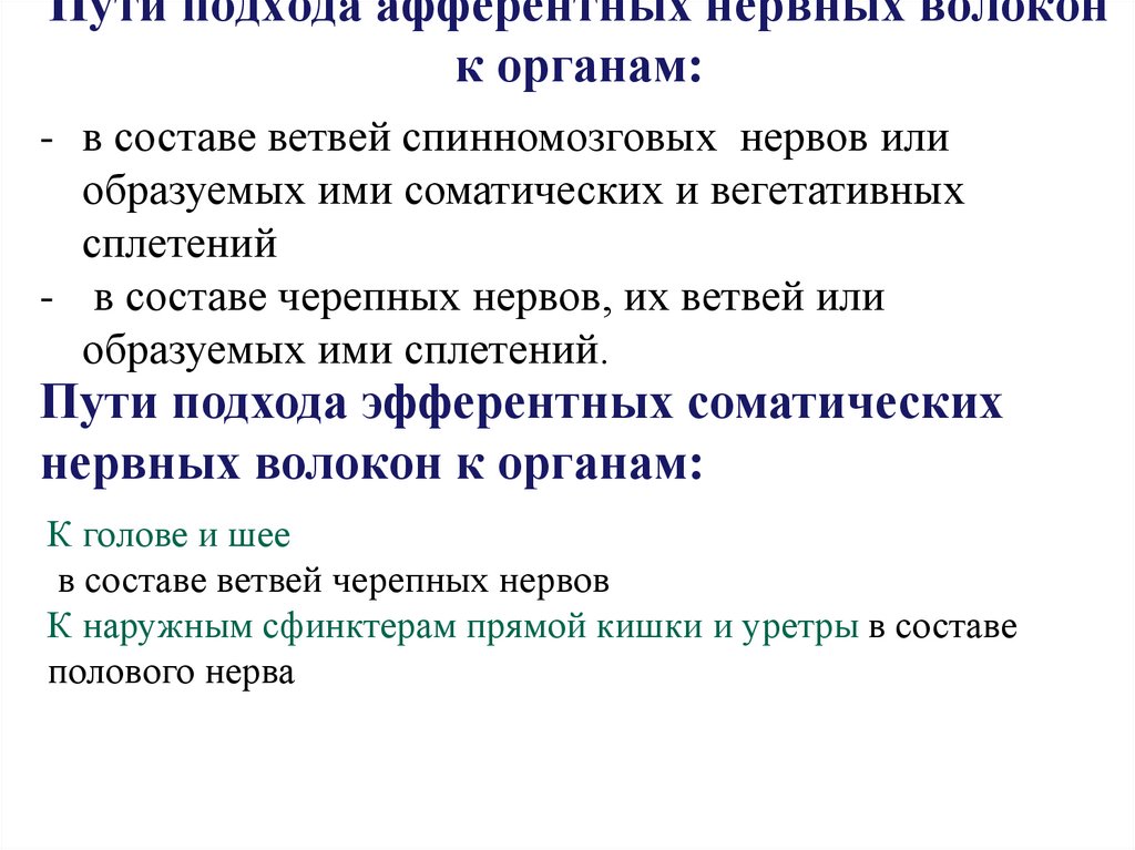 Пути подхода афферентных нервных волокон к органам: