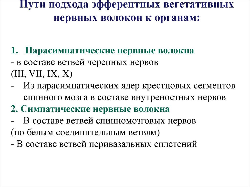 Пути подхода эфферентных вегетативных нервных волокон к органам: