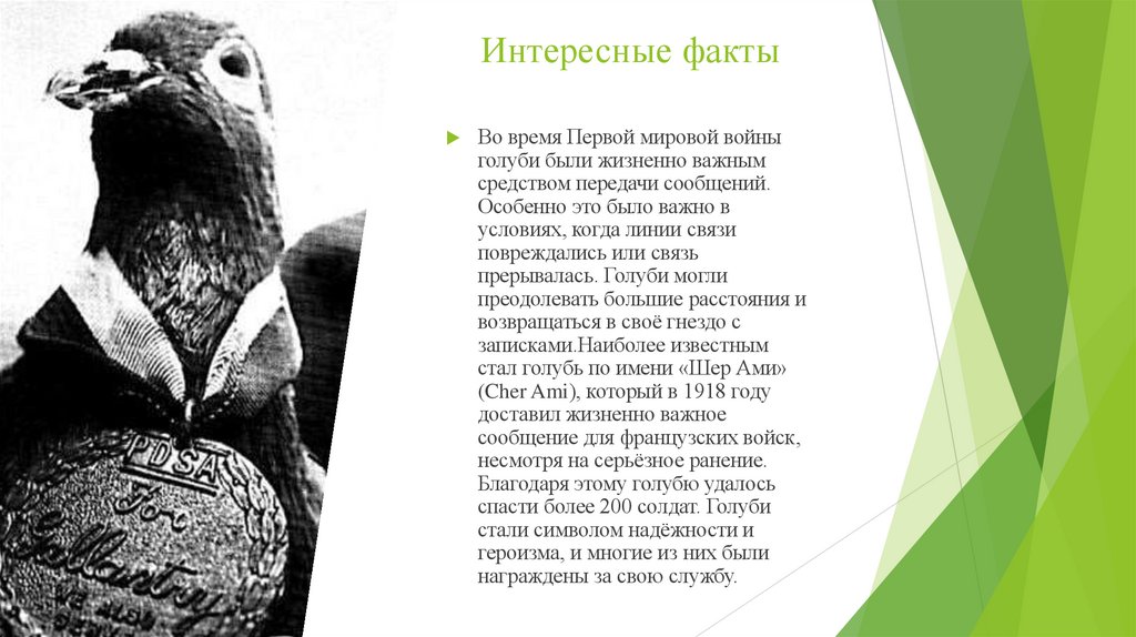 Интересные факты