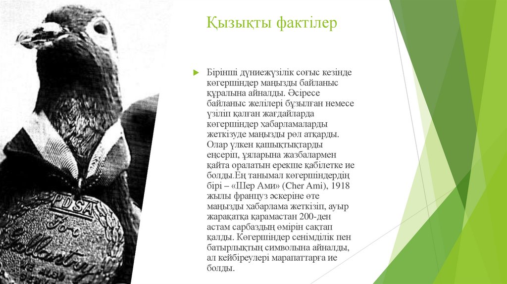 Қызықты фактілер