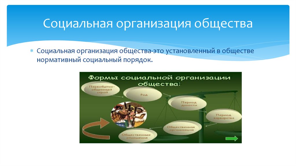 Социальная организация общества