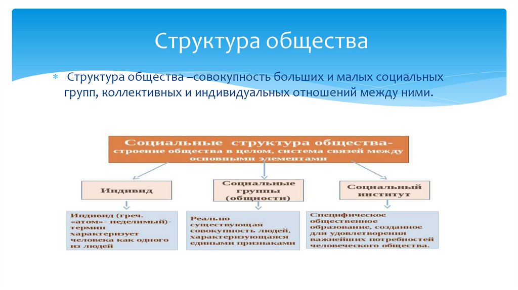 Структура общества