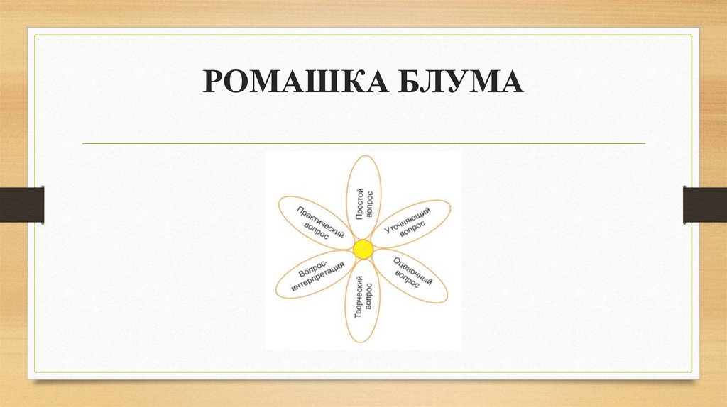 РОМАШКА БЛУМА