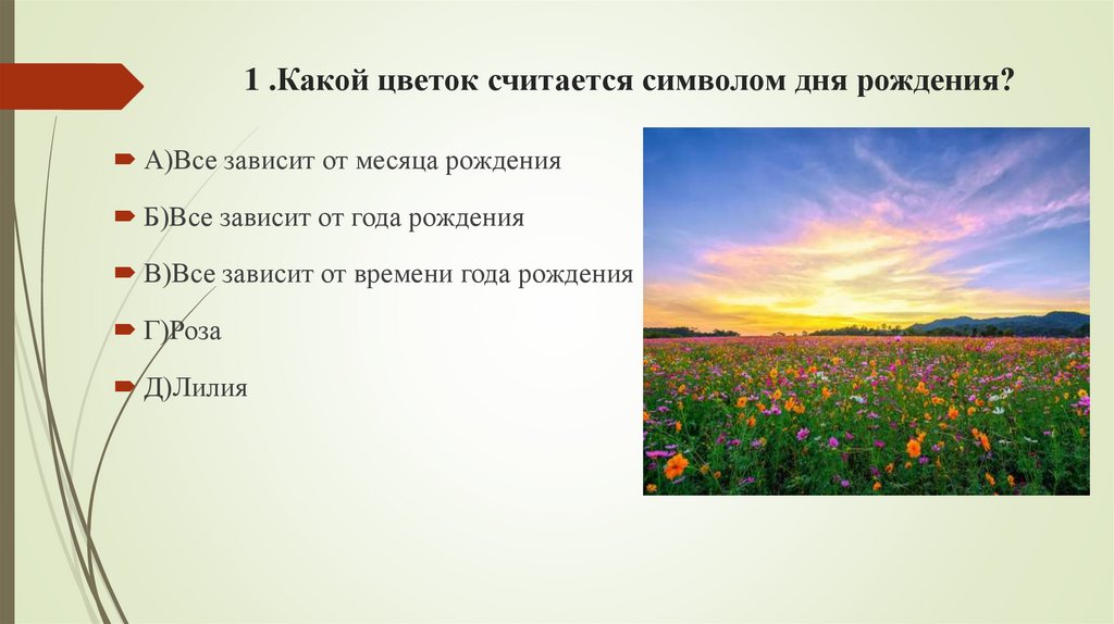 1 .Какой цветок считается символом дня рождения?