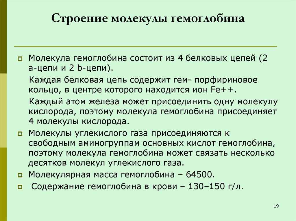 Строение молекулы гемоглобина