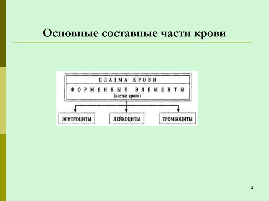Основные составные части крови