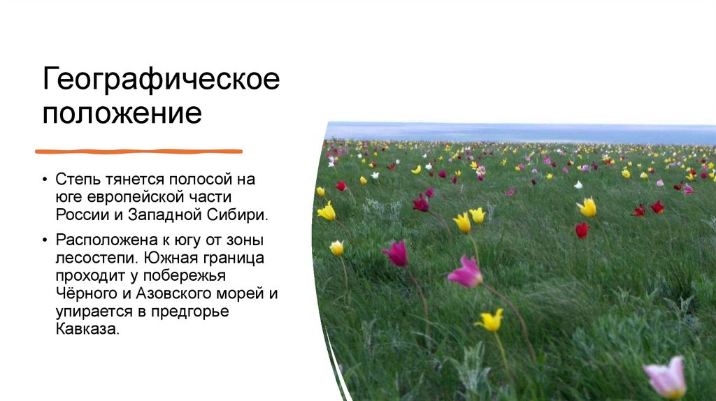 Географическое положение