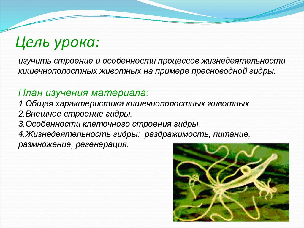 Цель урока: