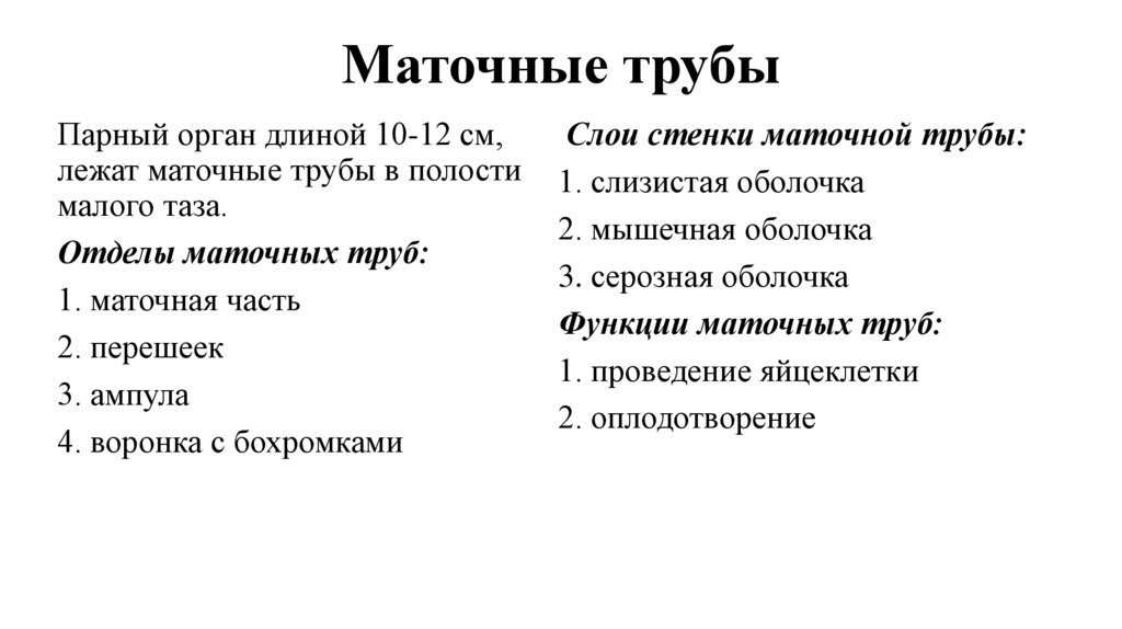 Маточные трубы