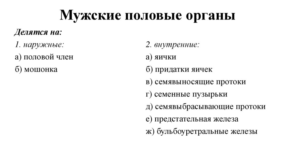 Мужские половые органы