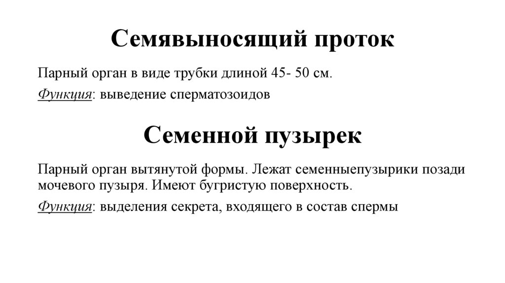 Семявыносящий проток