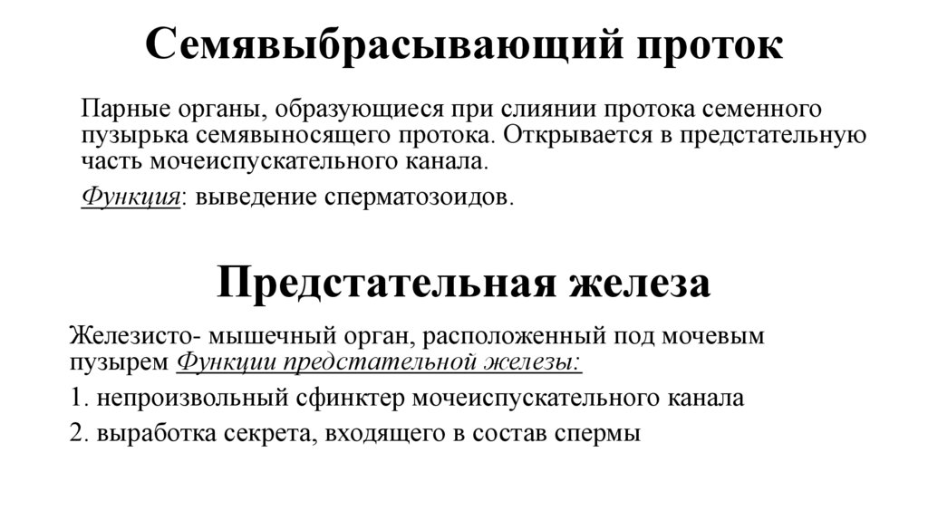 Семявыбрасывающий проток