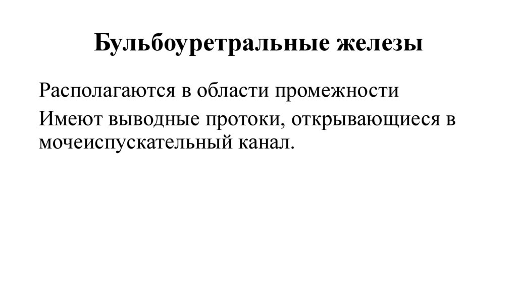 Бульбоуретральные железы