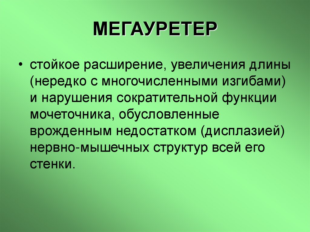 МЕГАУРЕТЕР