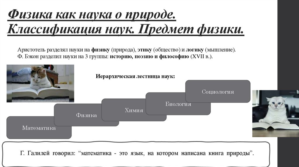Физика как наука о природе. Классификация наук. Предмет физики.
