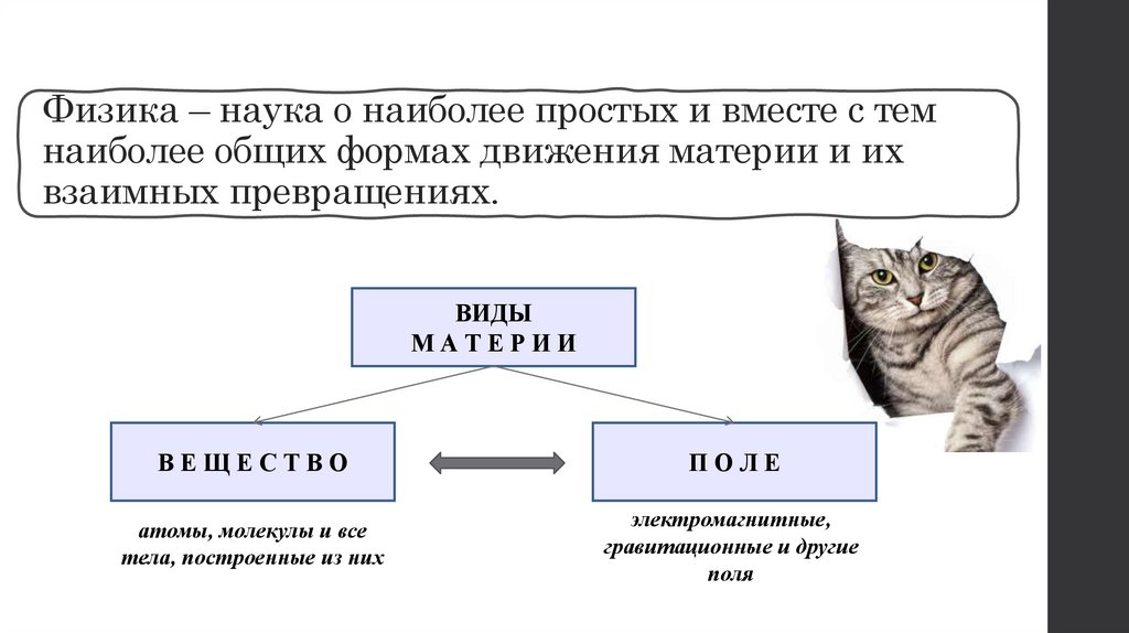 Физика – наука о наиболее простых и вместе с тем наиболее общих формах движения материи и их взаимных превращениях.