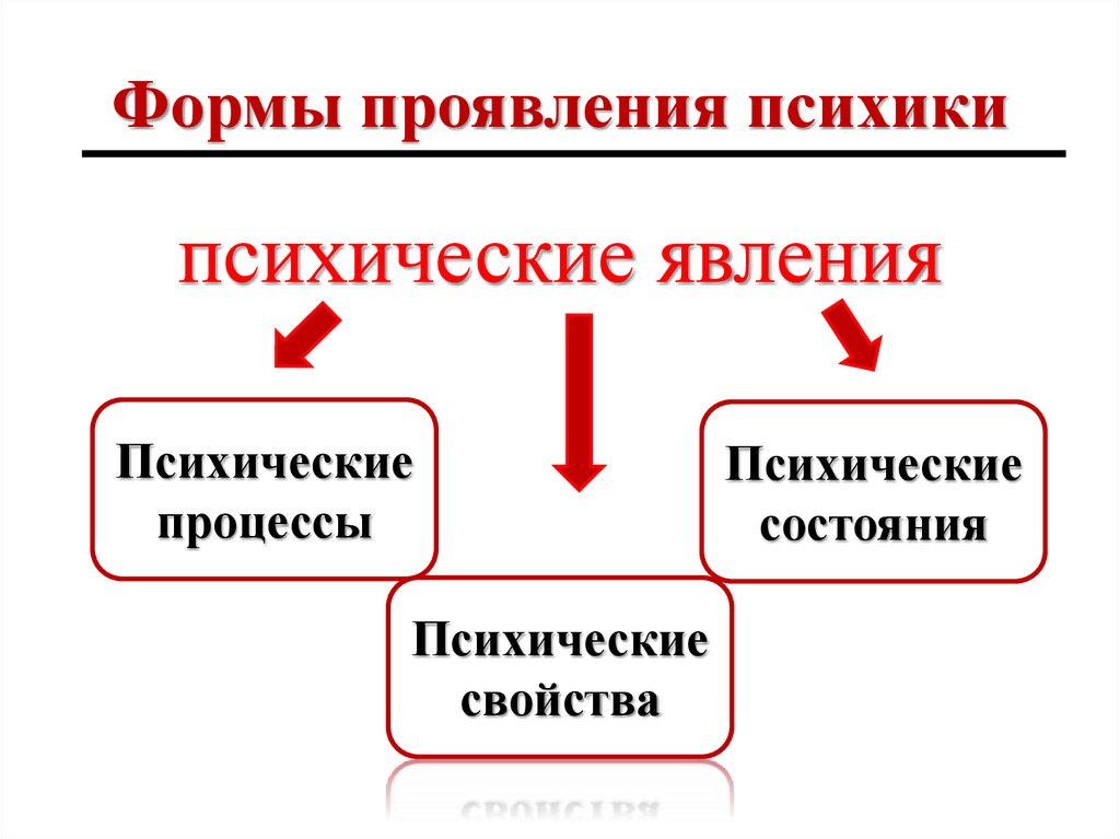 Формы проявления психики