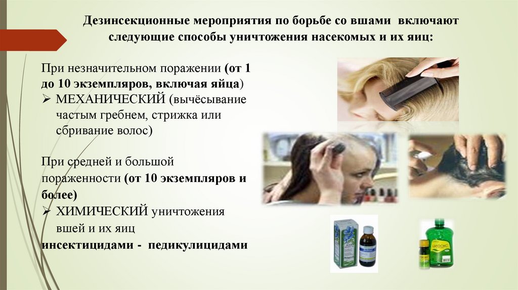 Дезинсекционные мероприятия по борьбе со вшами включают следующие способы уничтожения насекомых и их яиц: