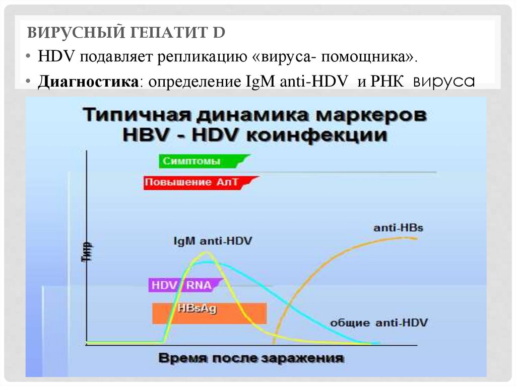 Вирусный гепатит в