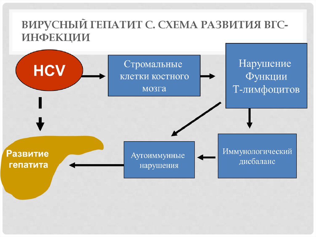 Вирусный гепатит в