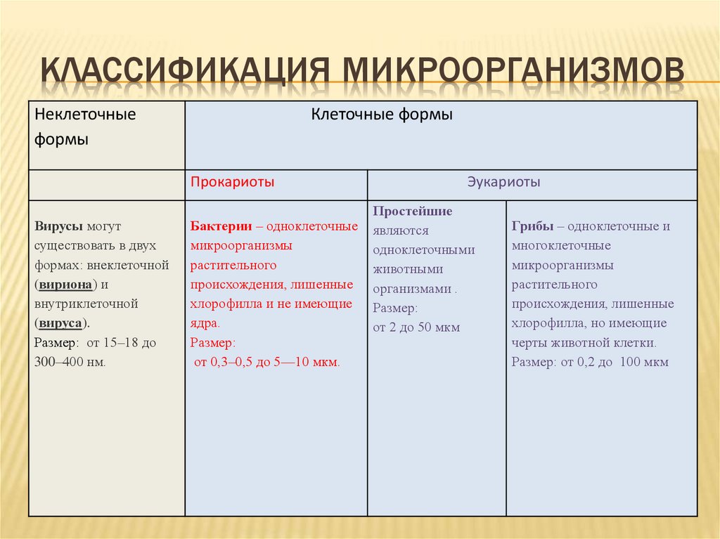 Классификация микроорганизмов