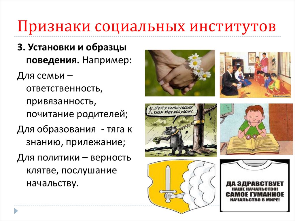 Признаки социальных институтов