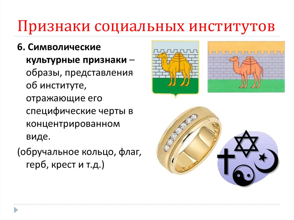 Признаки социальных институтов