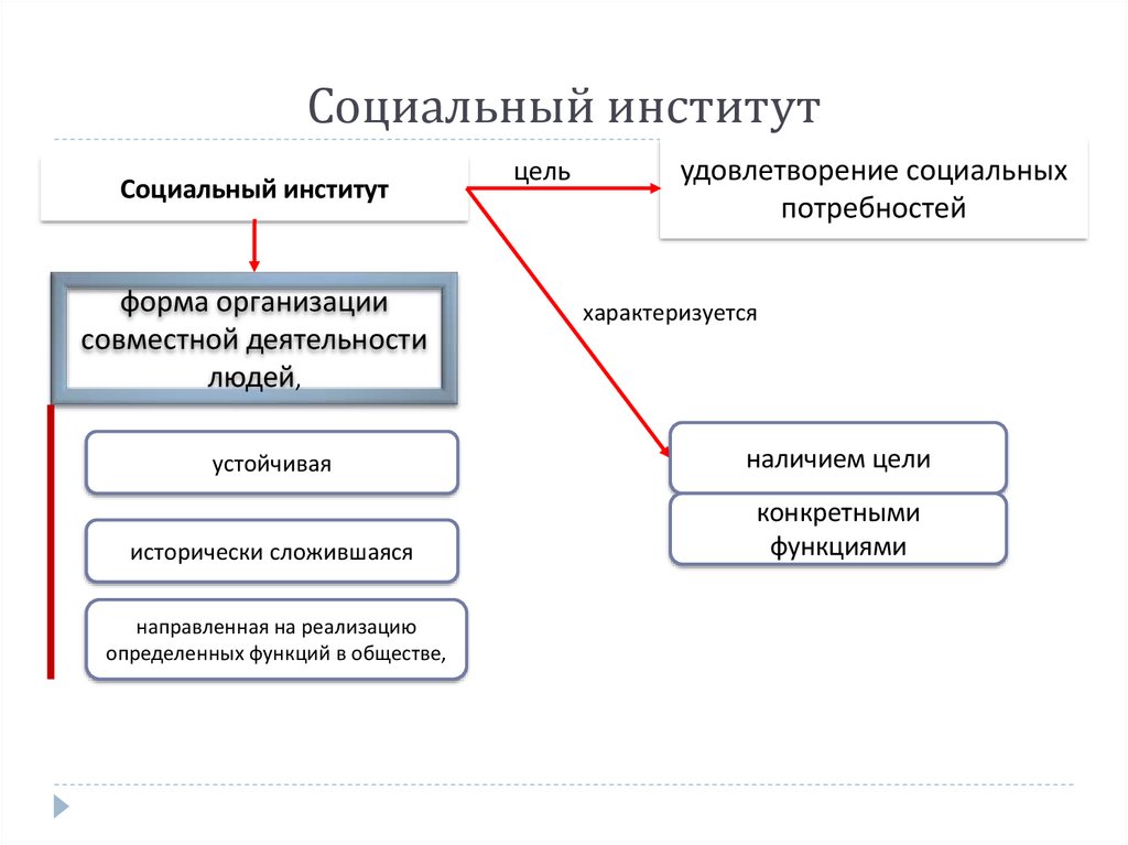 Социальный институт