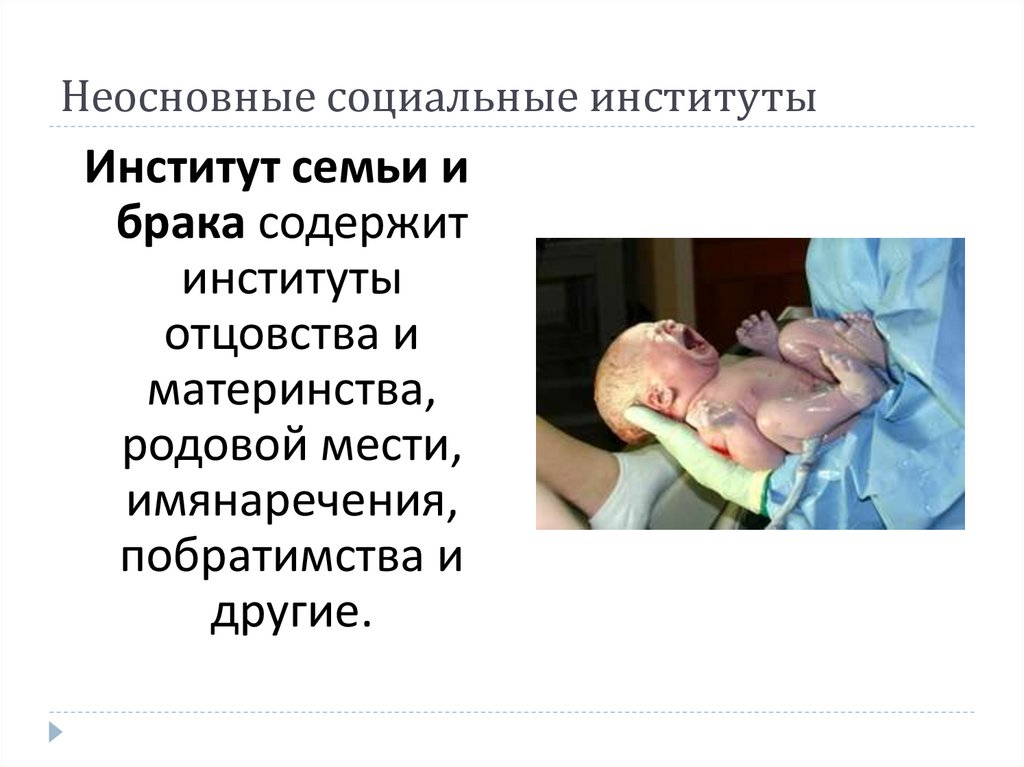 Неосновные социальные институты