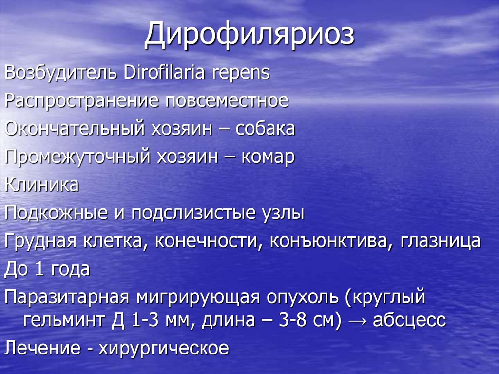 Дирофиляриоз