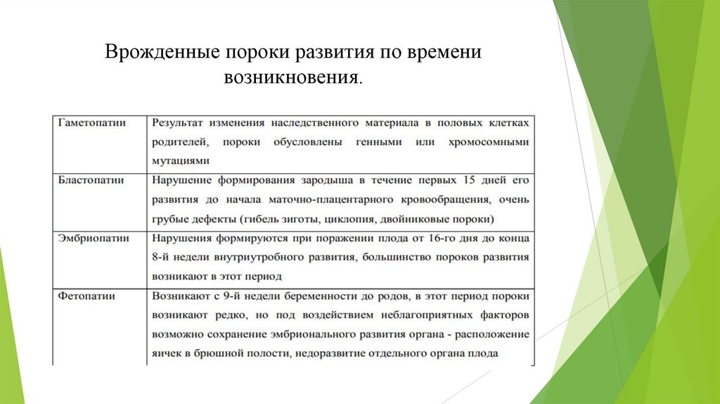 Врожденные пороки развития по времени возникновения.