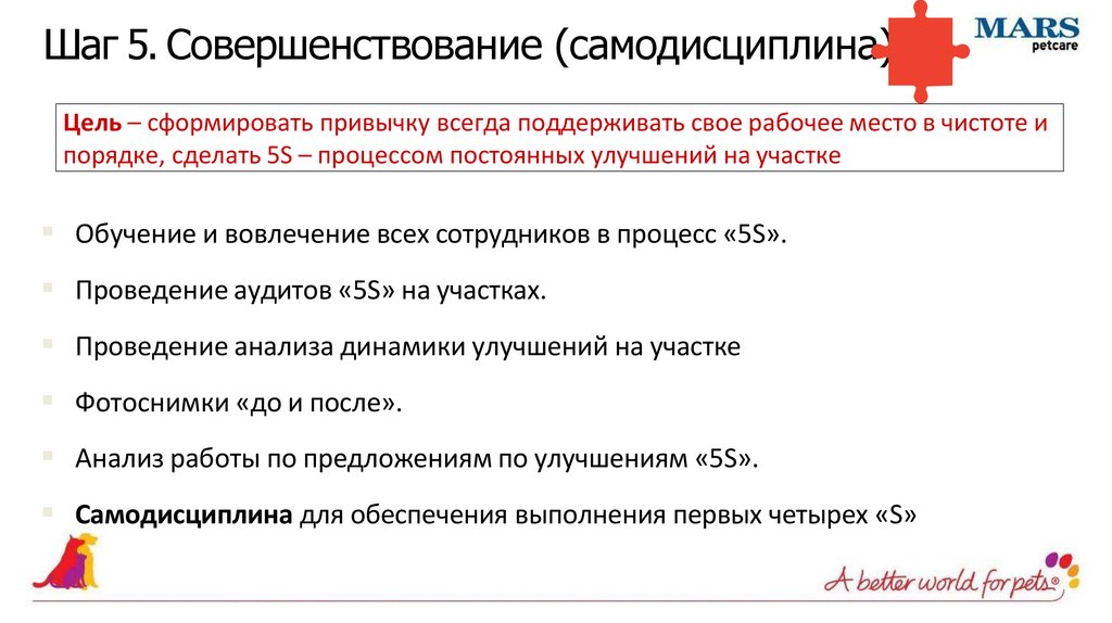 Шаг 5. Совершенствование (самодисциплина)