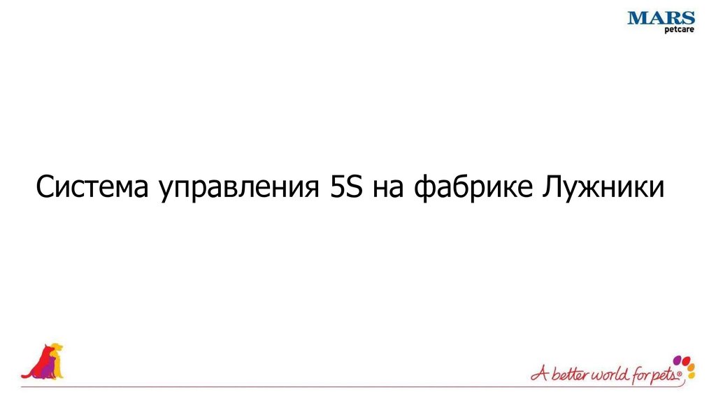 Система управления 5S на фабрике Лужники