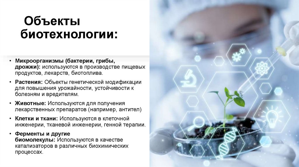  Объекты биотехнологии: