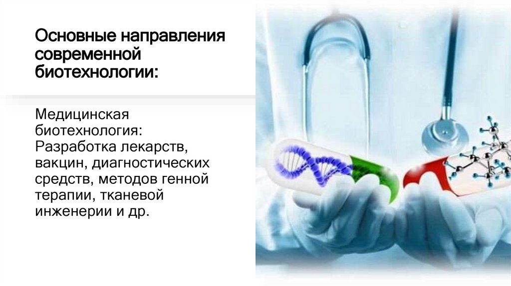 Основные направления современной биотехнологии: