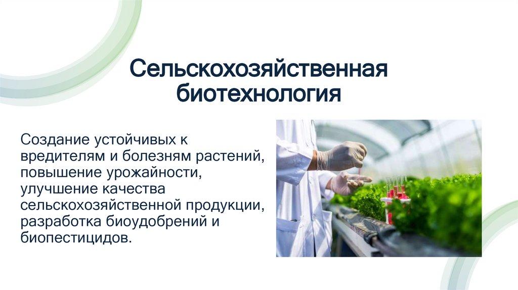 Сельскохозяйственная биотехнология