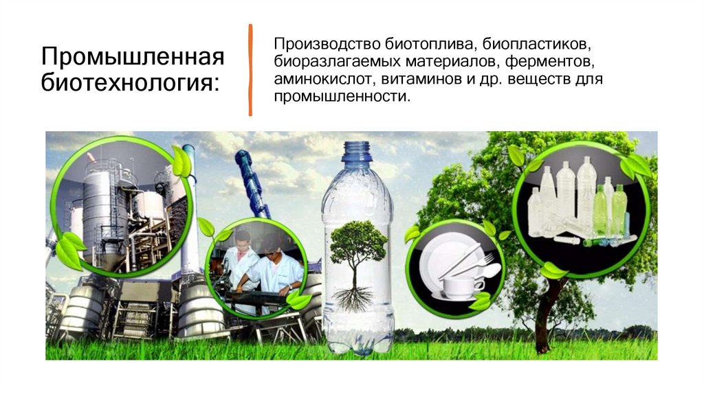 Промышленная биотехнология: