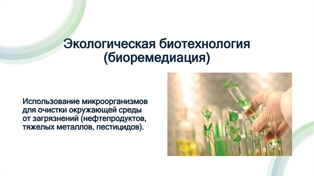 Экологическая биотехнология (биоремедиация)