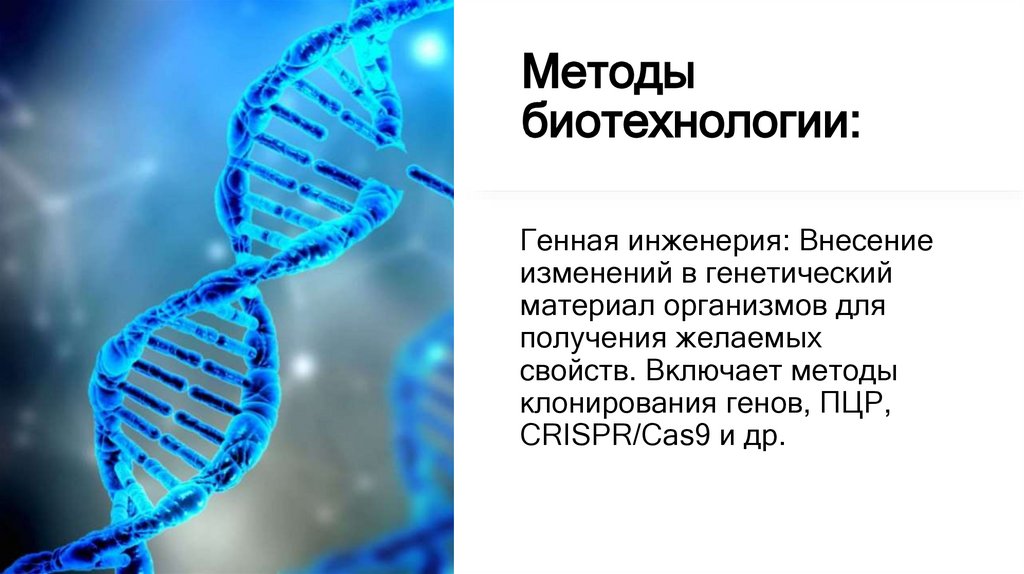 Методы биотехнологии: