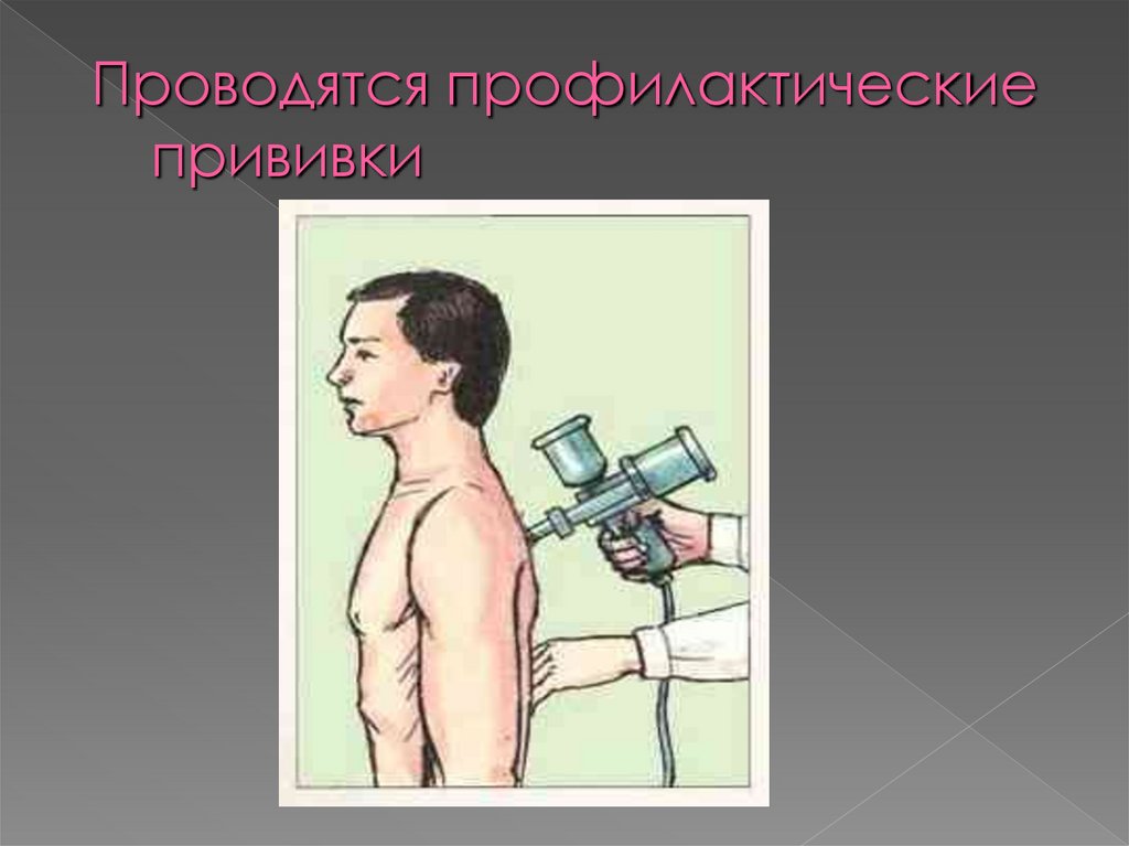 Проводятся профилактические прививки