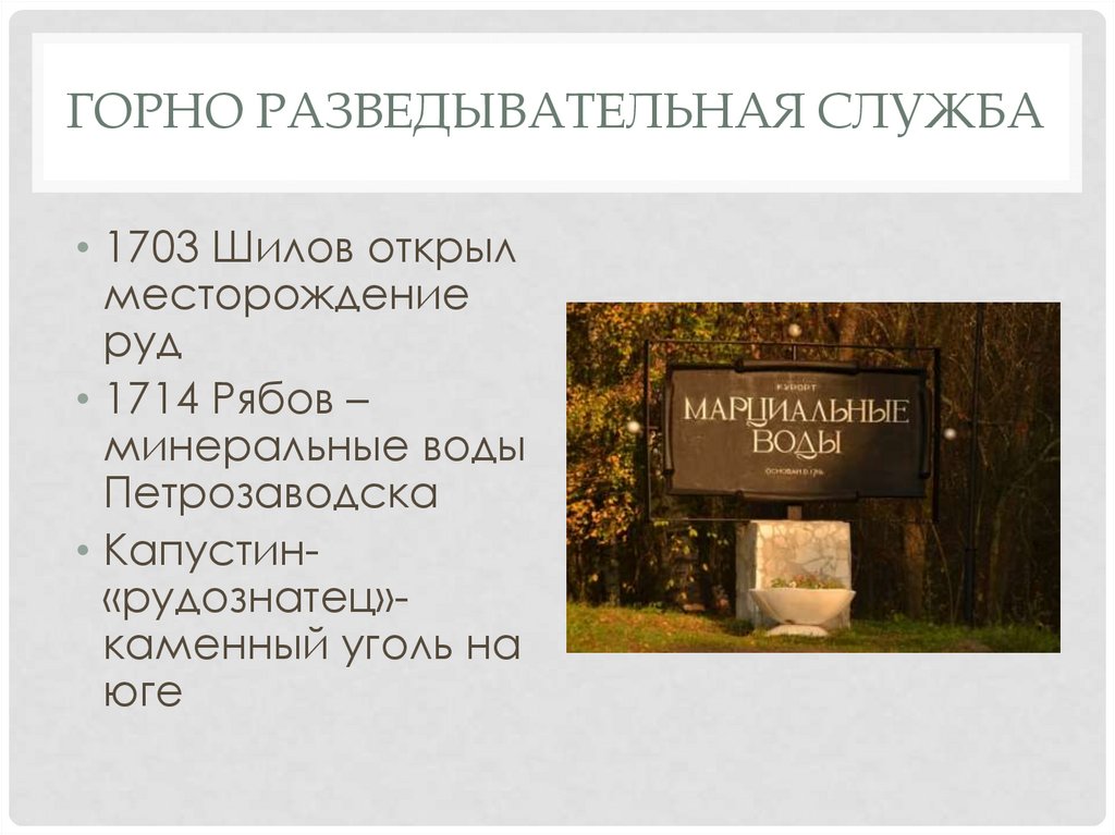 Горно разведывательная служба